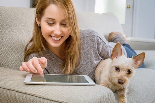 タブレットで電子アルプを楽しむ女性と犬